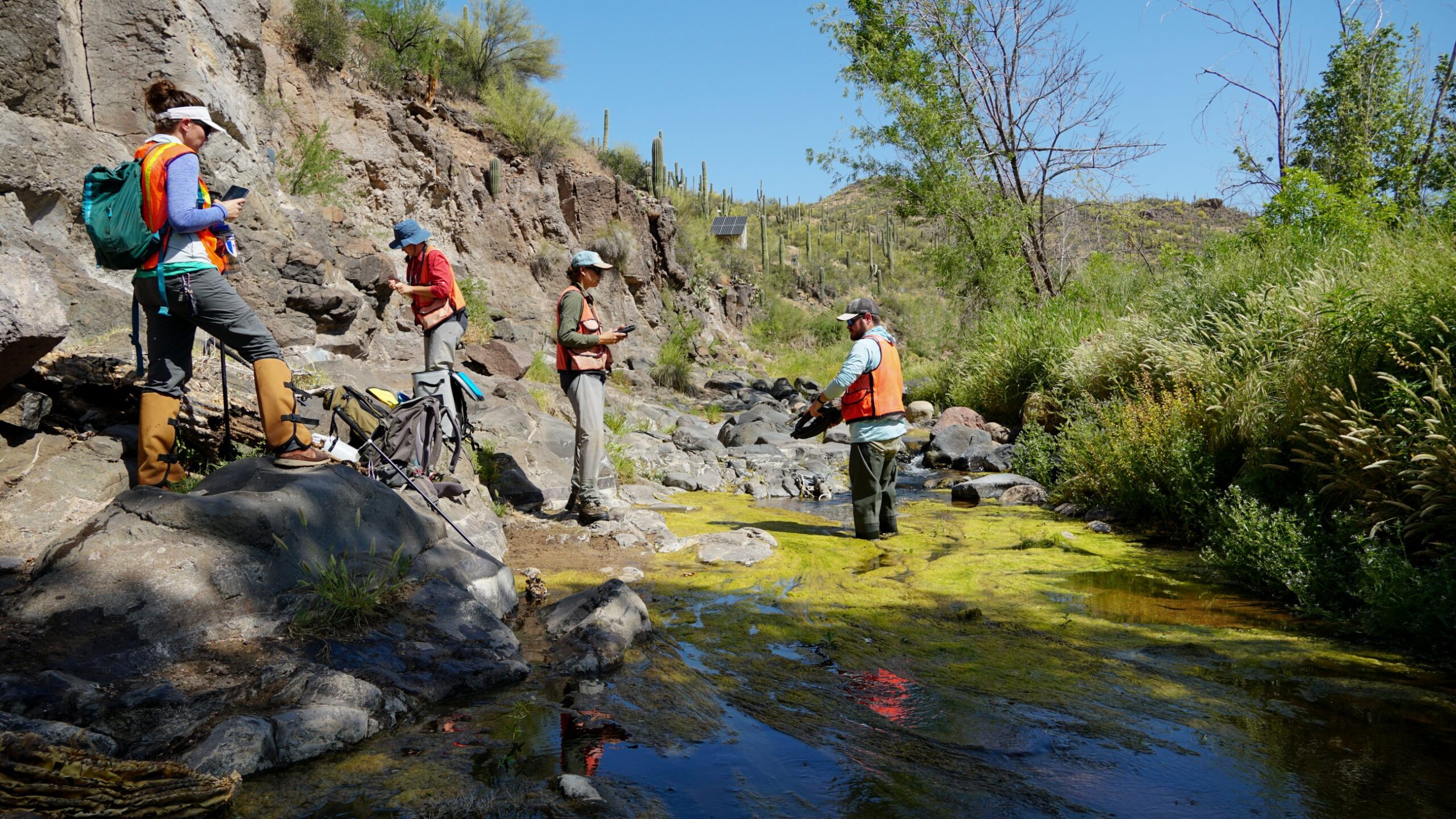 NEON staff at SYCA aquatic site