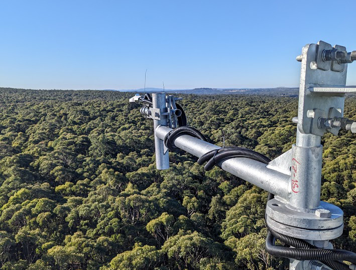 New Flux tower at Wombat Stringybark Eucalypt SuperSite